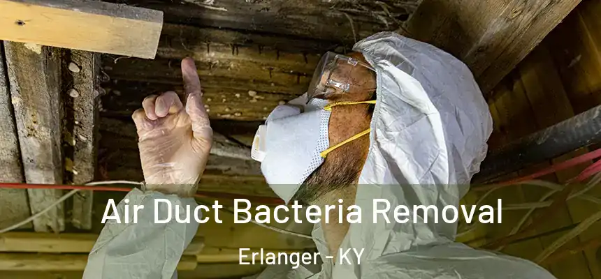  Air Duct Bacteria Removal Erlanger - KY