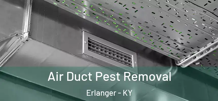  Air Duct Pest Removal Erlanger - KY