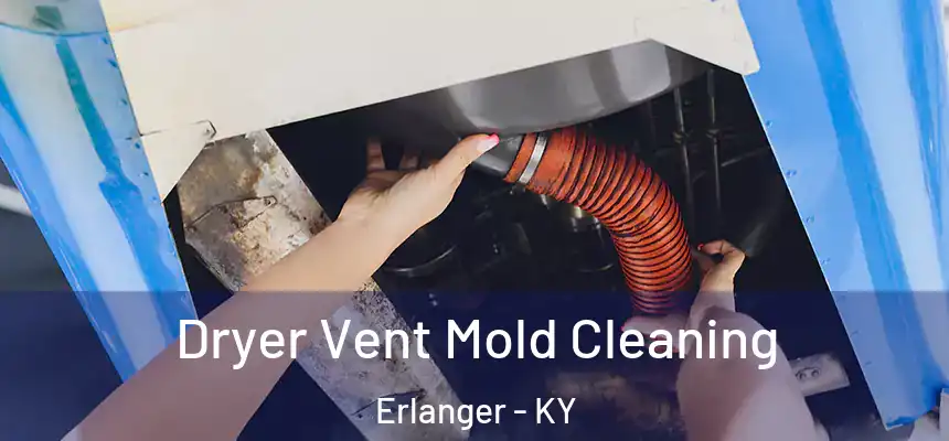  Dryer Vent Mold Cleaning Erlanger - KY