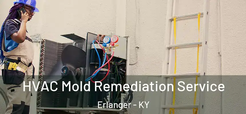  HVAC Mold Remediation Service Erlanger - KY