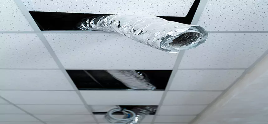 Our Air Duct Pet Hair Removal Services in Erlanger, KY