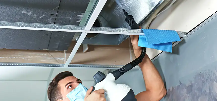Our Air Duct Rodent Removal Services in Erlanger, KY