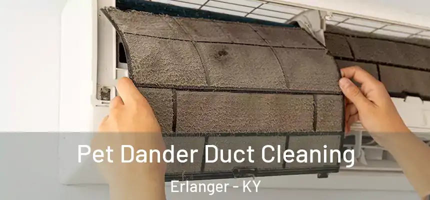  Pet Dander Duct Cleaning Erlanger - KY