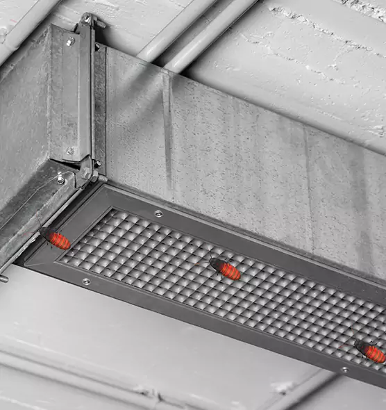 About Air Duct Cockroach Removal in Erlanger, KY
