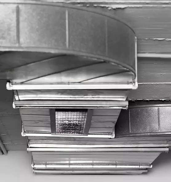 Professional Air Duct Pet Hair Removal in Erlanger, KY