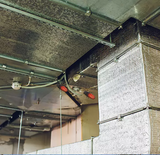 Why Homeowners & Businesses Trust Us in Erlanger, KY?