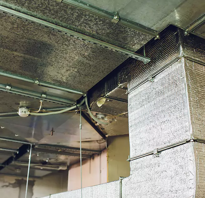 Why Homeowners & Businesses Trust Us in Erlanger, KY?